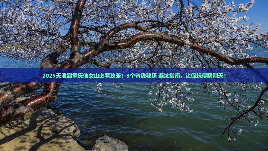 天津到重庆仙女山门票