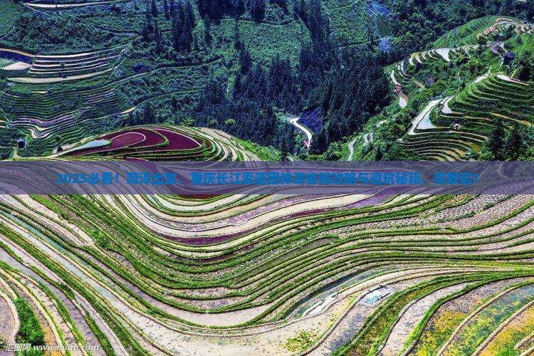 菏泽到重庆长江索道团体旅游