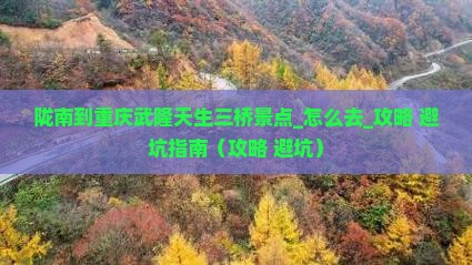 陇南到重庆武隆天生三桥景点