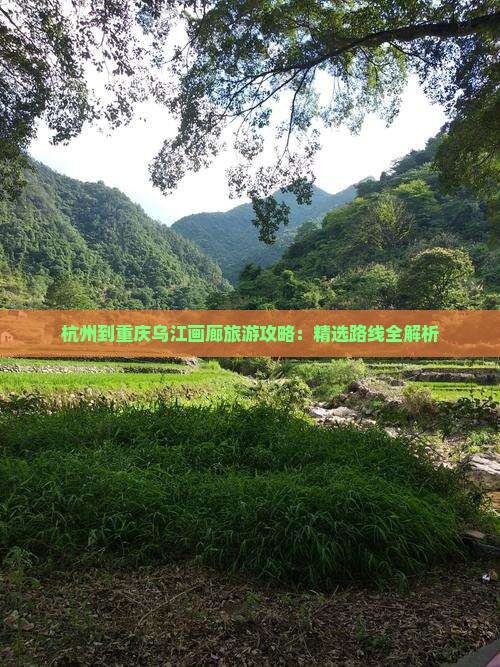 杭州去重庆乌江画廊攻略