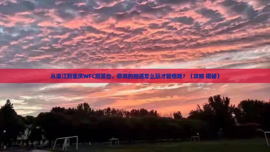 湛江到重庆wfc观景台旅游