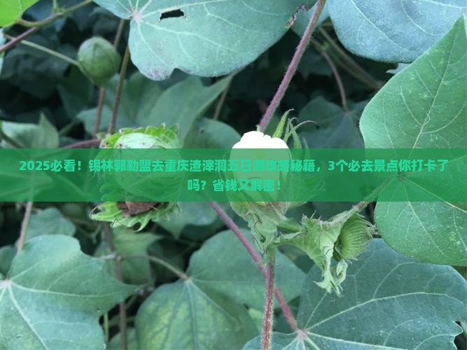 锡林郭勒盟去重庆渣滓洞五日游