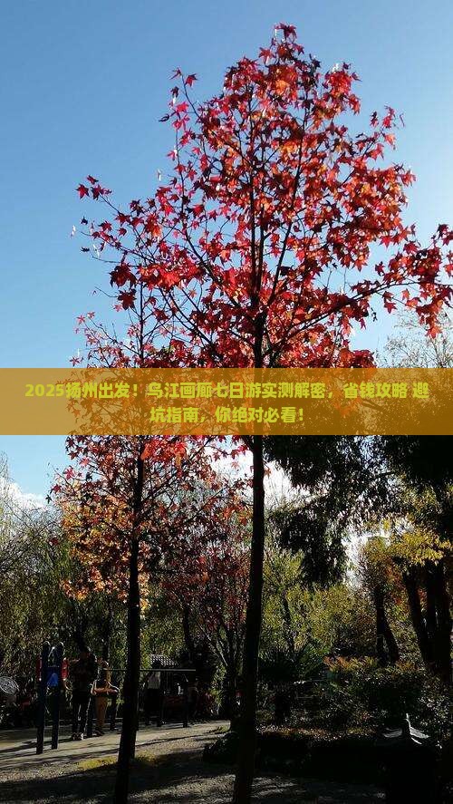 扬州到重庆乌江画廊七日游