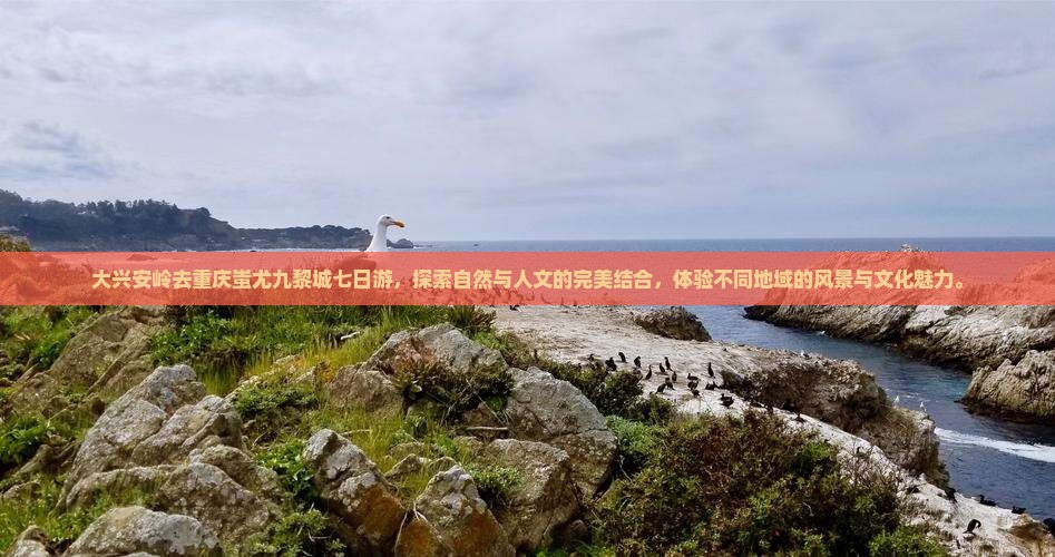 大兴安岭去重庆蚩尤九黎城七日游