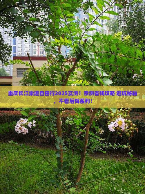 晋城到重庆长江索道自由行