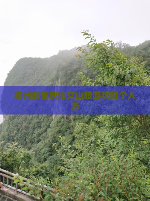 郴州到重庆仙女山个人游