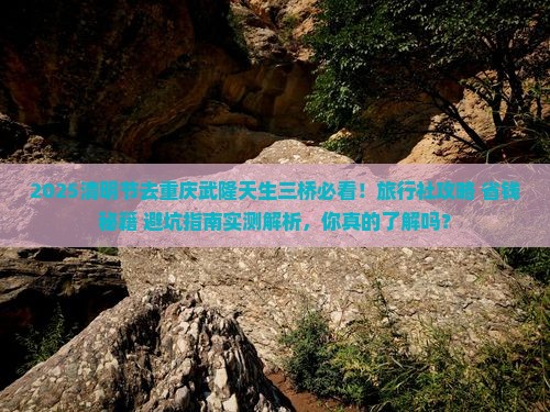 清明节去重庆武隆天生三桥旅行社