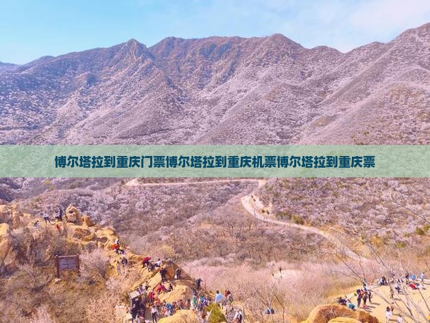 博尔塔拉到重庆门票