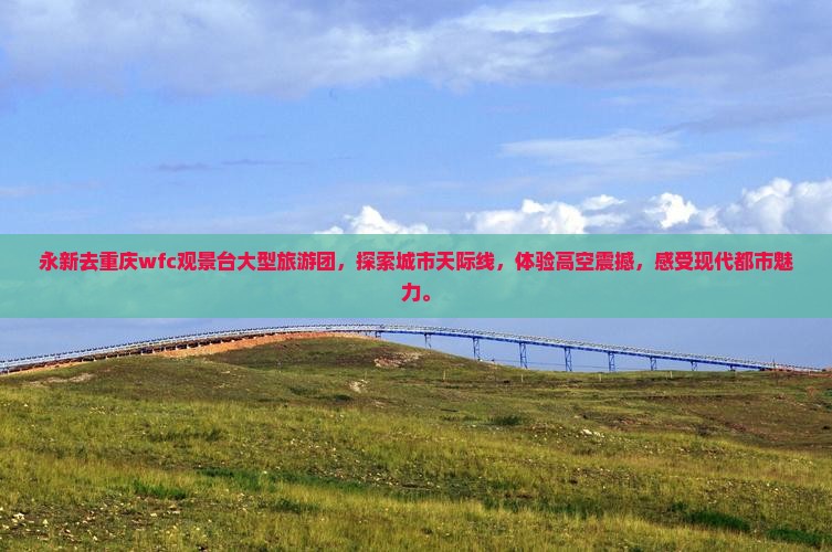 永新去重庆wfc观景台大型旅游团