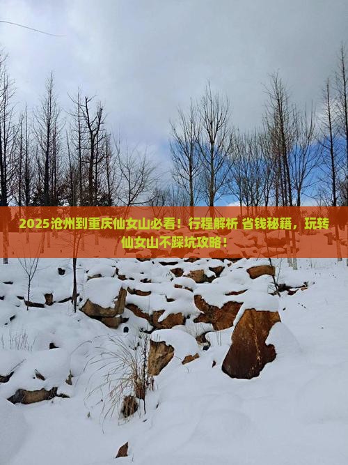 沧州到重庆仙女山必去地