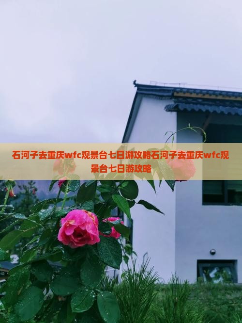 石河子去重庆wfc观景台七日游