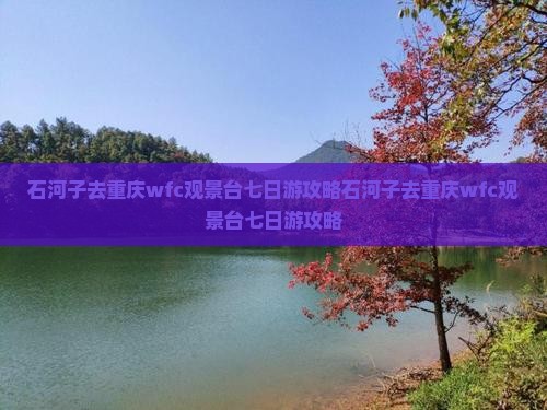 石河子去重庆wfc观景台七日游