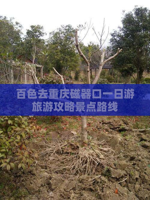 百色去重庆磁器口一日