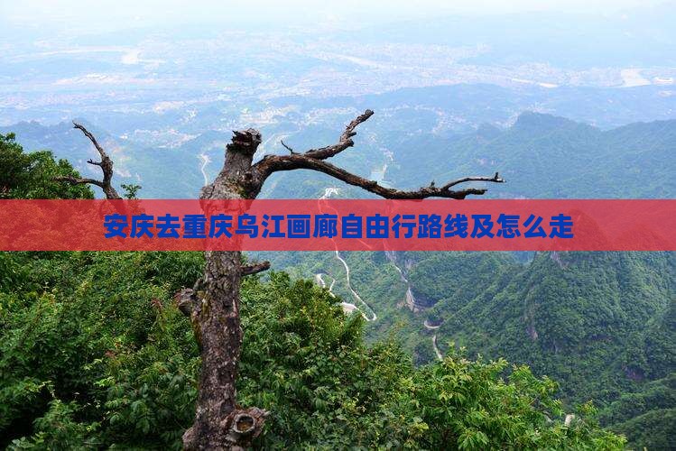 安庆去重庆乌江画廊自由行
