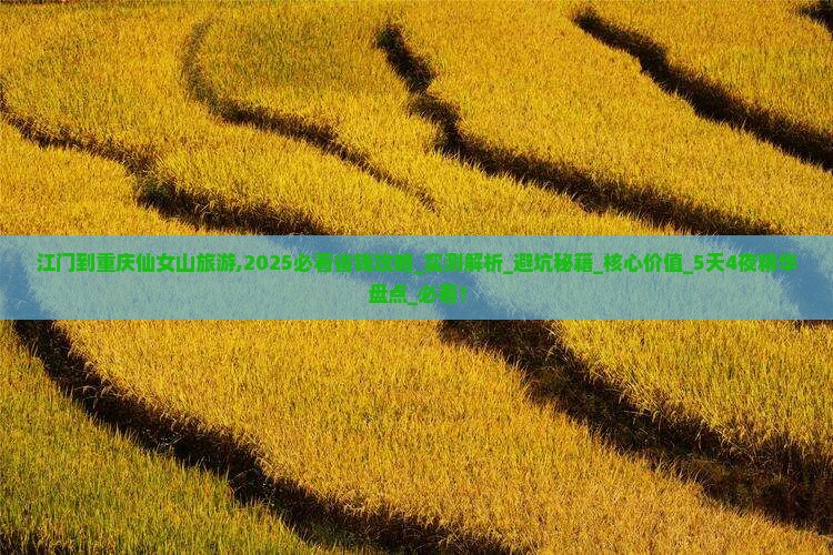 江门到重庆仙女山旅游