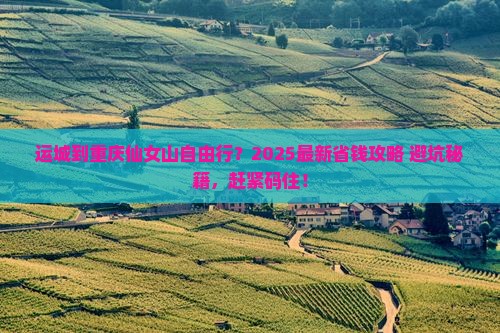 运城到重庆仙女山自由行