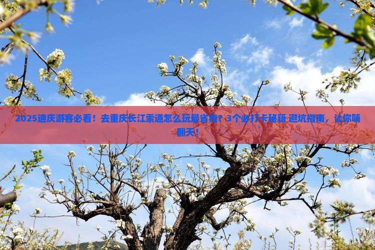 迪庆去重庆长江索道哪里玩