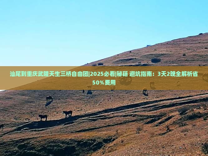 汕尾去重庆武隆天生三桥自由团
