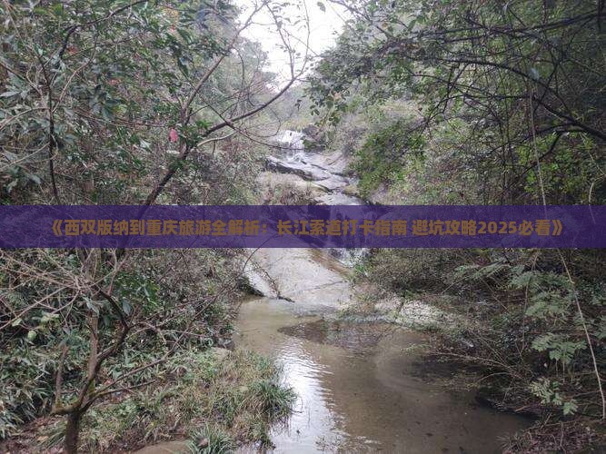 西双版纳去重庆长江索道大型旅游团