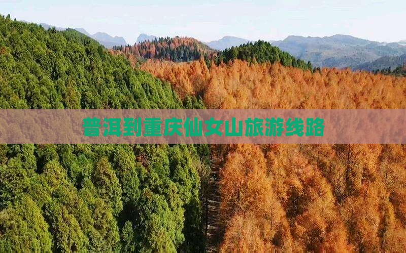 普洱到重庆仙女山旅行社