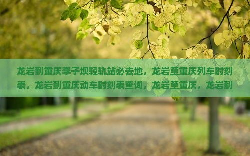 龙岩到重庆李子坝轻轨站必去地