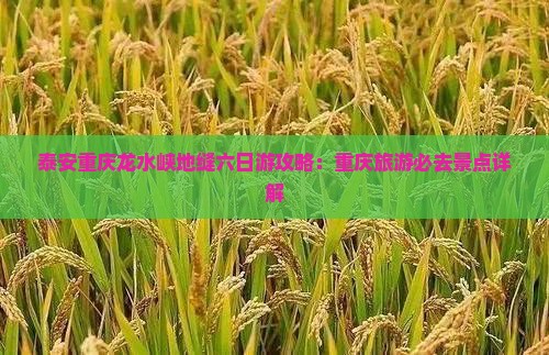 泰安去重庆龙水峡地缝六日游