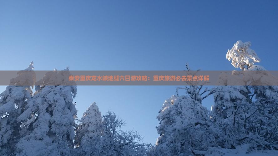 泰安去重庆龙水峡地缝六日游
