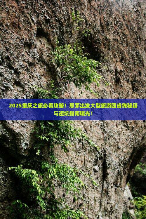 思茅去重庆大型旅游团