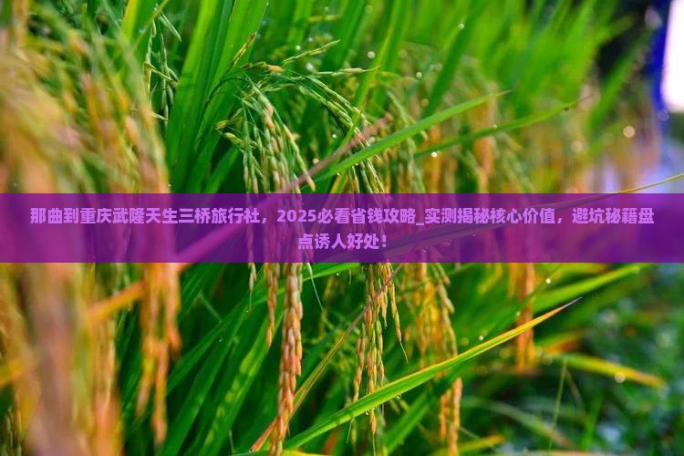 那曲到重庆武隆天生三桥旅行社