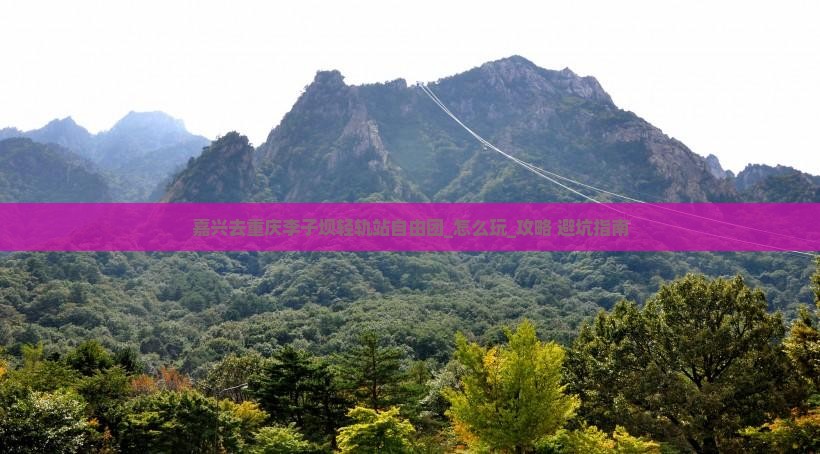 嘉兴去重庆李子坝轻轨站自由团