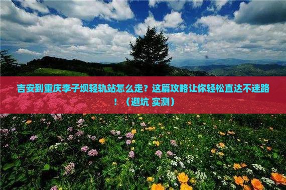 吉安到重庆李子坝轻轨站旅行社
