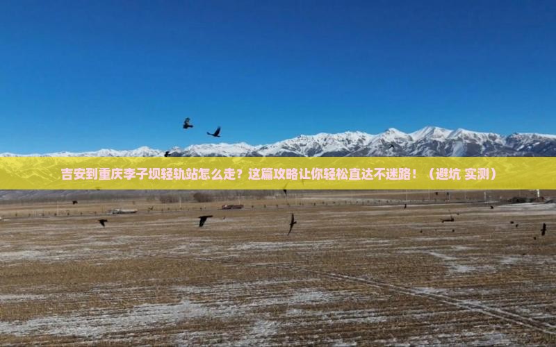 吉安到重庆李子坝轻轨站旅行社