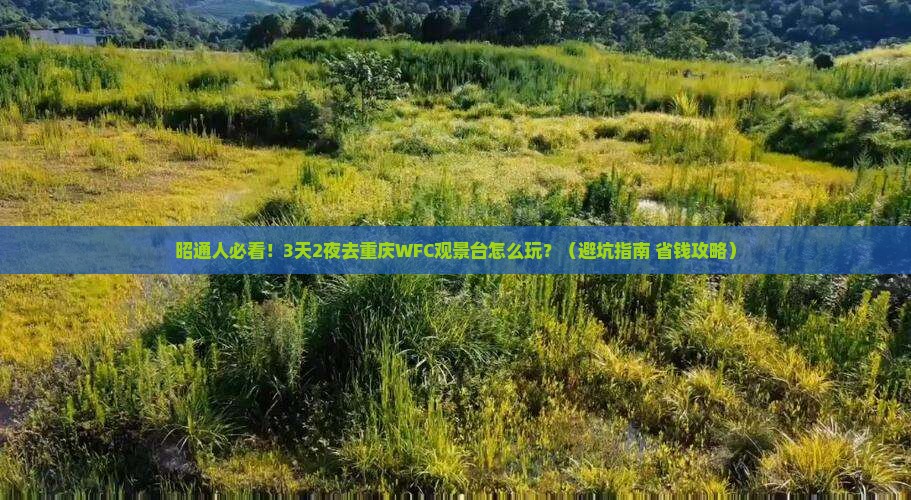 昭通去重庆wfc观景台团体旅游