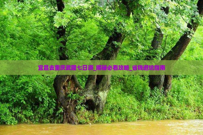 宜昌去重庆武隆七日游