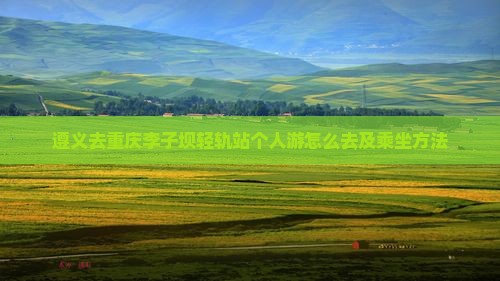 遵义去重庆李子坝轻轨站个人游