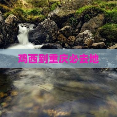鸡西到重庆必去地