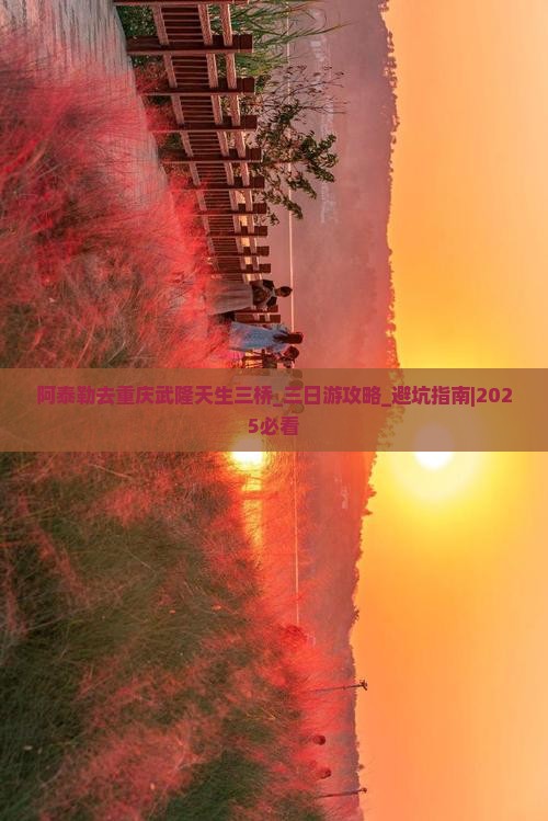 阿泰勒去重庆武隆天生三桥三日游