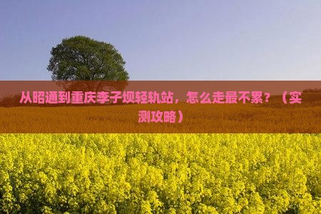 昭通去重庆李子坝轻轨站旅游