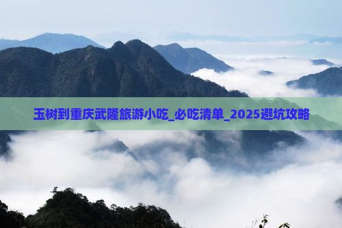 玉树到重庆武隆旅游小吃