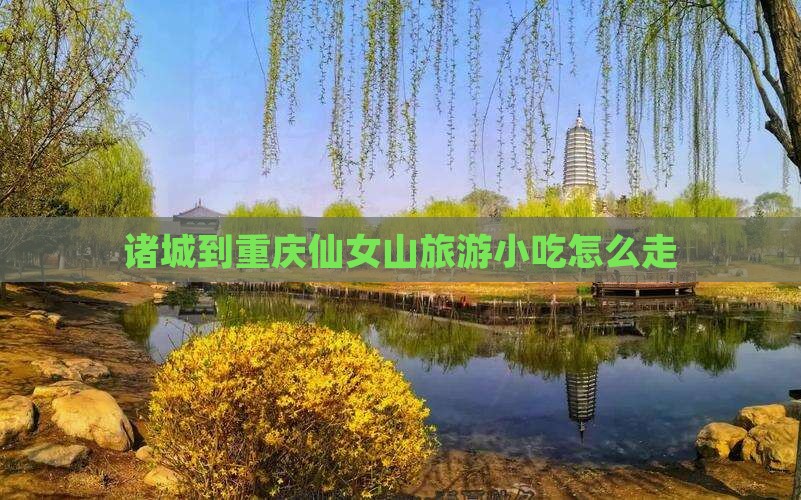 诸城到重庆仙女山旅游小吃