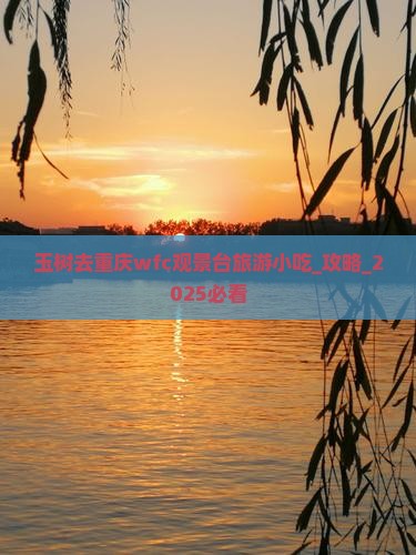 玉树去重庆wfc观景台旅游小吃