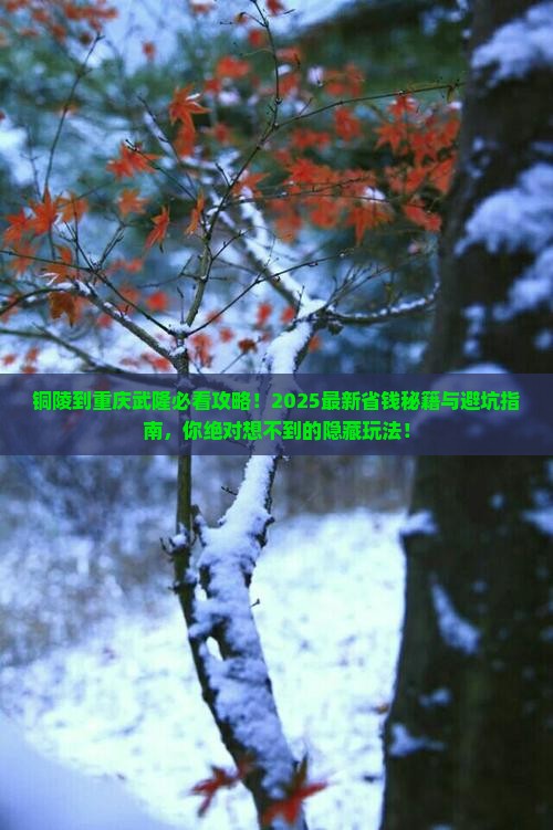 铜陵到重庆武隆必去地