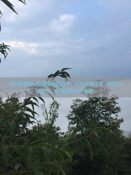 吴忠去重庆wfc观景台四日游