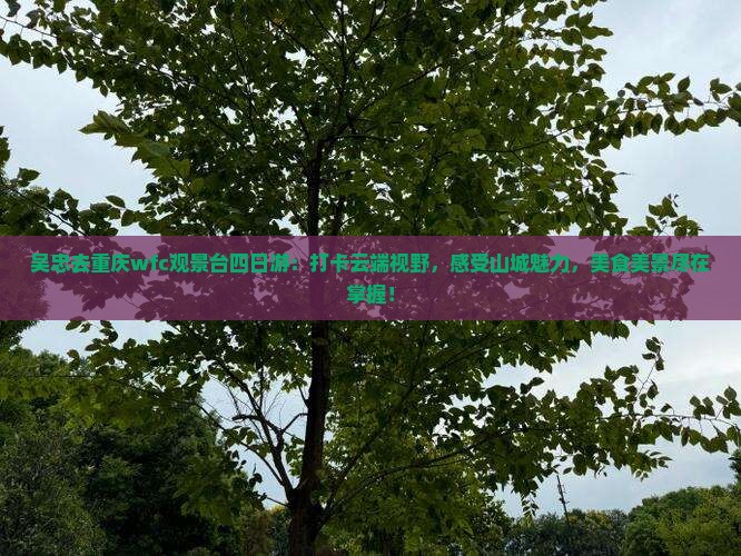 吴忠去重庆wfc观景台四日游