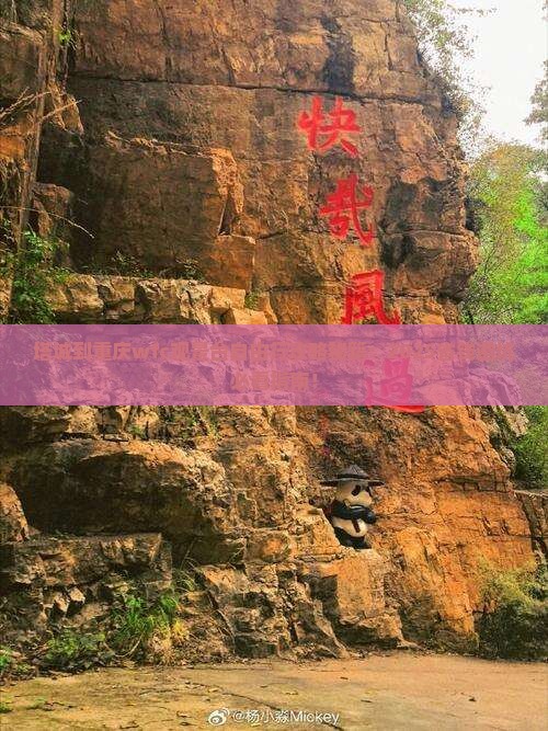 塔城到重庆wfc观景台自由团