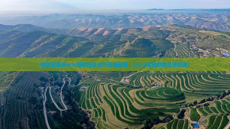 塔城到重庆wfc观景台自由团