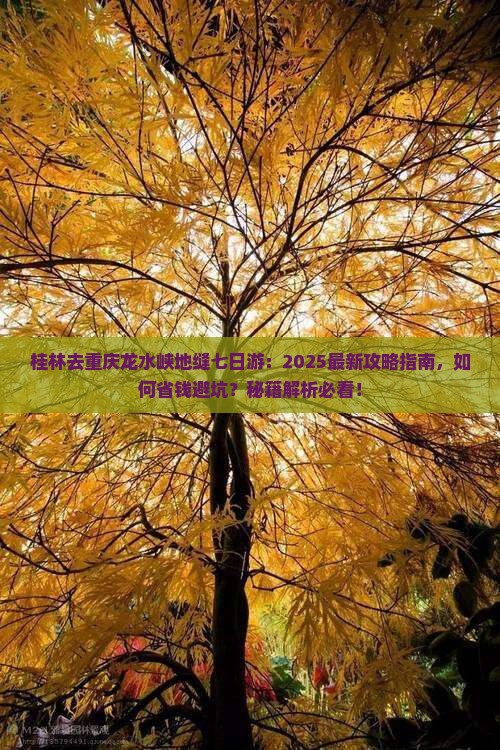 桂林去重庆龙水峡地缝七日游