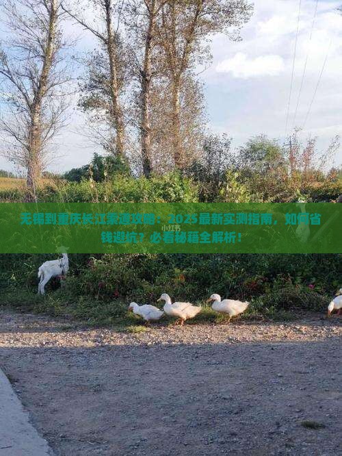 无锡到重庆长江索道攻略