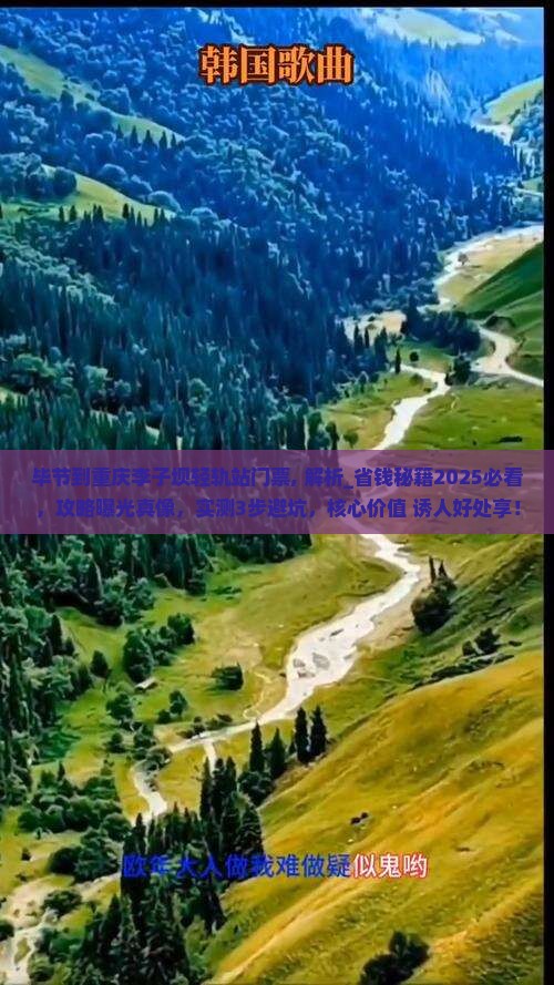 毕节到重庆李子坝轻轨站门票