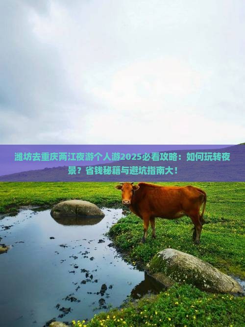 潍坊去重庆两江夜游个人游